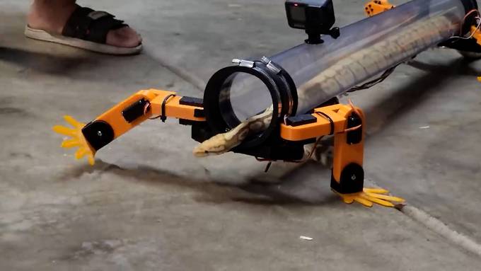 Schlange mit Roboter-Beinen verblüfft das Internet