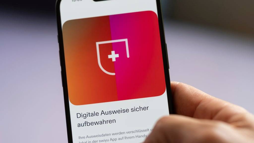 Beschwerden gegen E-ID-Abstimmung kommen vors Bundesgericht