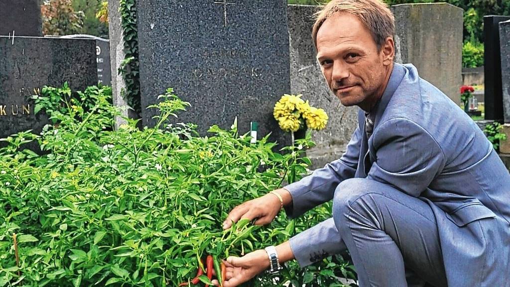 Urbane Gärtner züchten in Wien Friedhof-Früchtchen