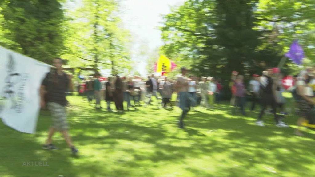 Handgreiflich: Weil sie Polizisten angegriffen haben, verurteilt das Bezirksgericht Aarau vier Corona-Demonstranten