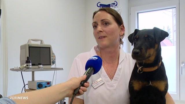 Hundehasser vergiftet erneut Vierbeiner