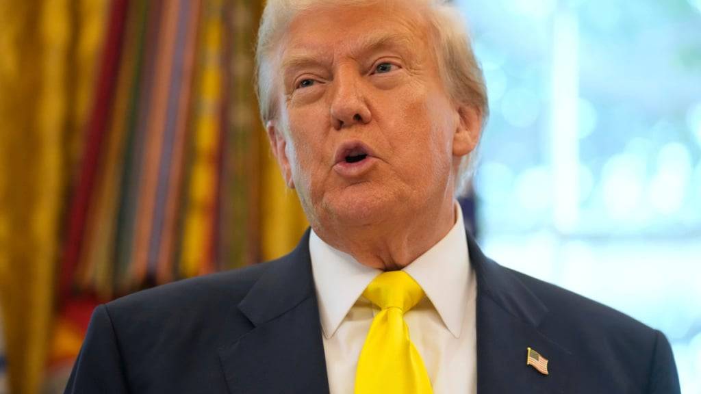 ARCHIV - US-Präsident Donald Trump spricht über die Wirtschaft im Oval Office des Weißen Hauses. Foto: Mark Schiefelbein/AP/dpa