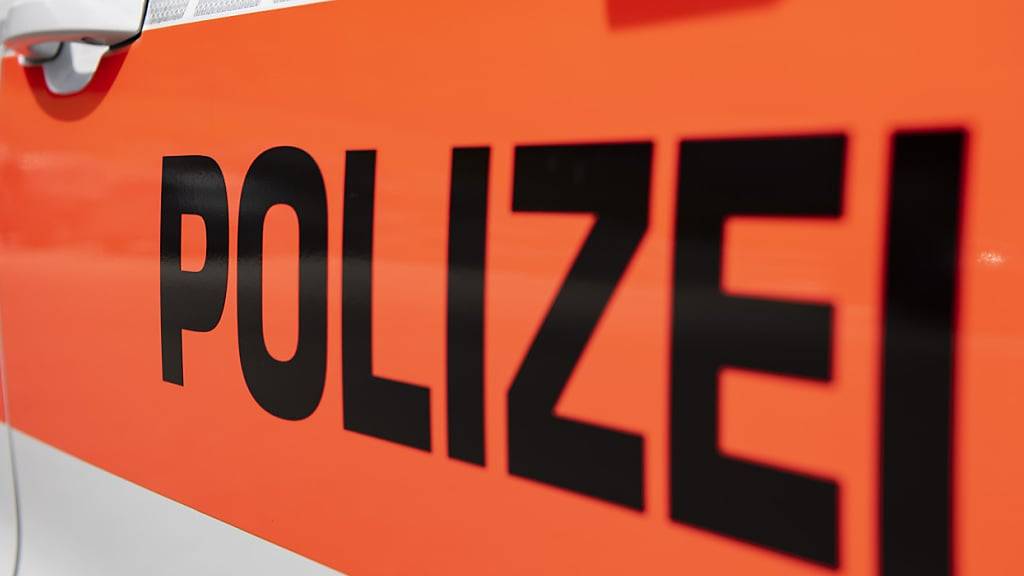 Die Zürcher Kantonpolizei hat in Höri ZH drei mutmassliche Kriminaltouristen verhaftet. (Archivbild)