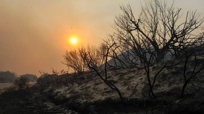 Kein Ende der Hitze in Griechenland – Brand auf Rhodos