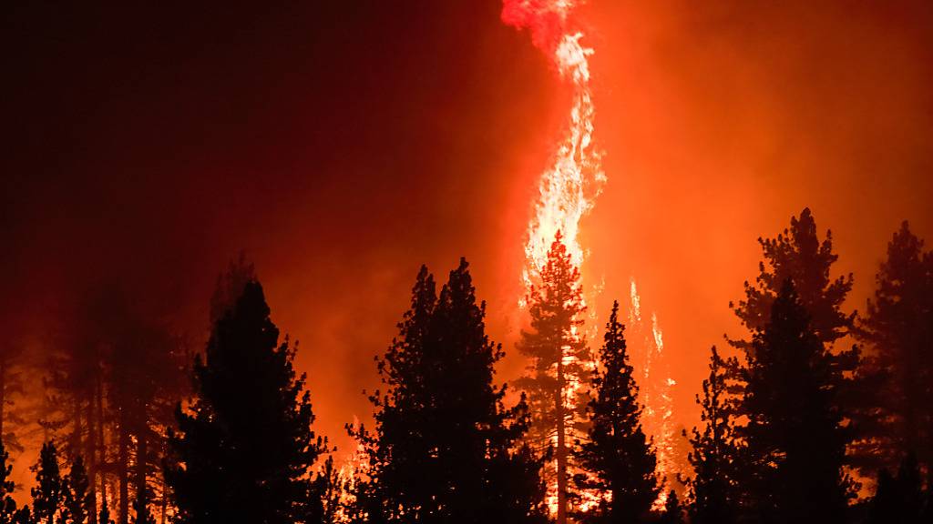 Flammen umschlingen Bäume während des Tamarack Feuers. Foto: Ty O'neil/SOPA Images via ZUMA Press Wire/dpa