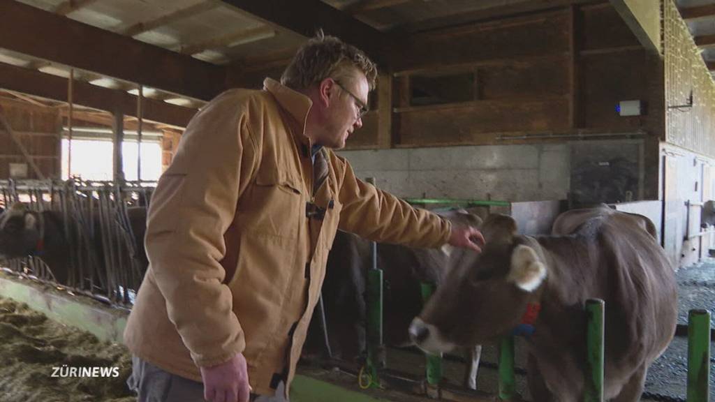 Bauern wehren sich gegen geschützte Biodiversitätsflächen