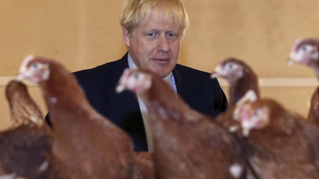 Der britische Premierminister Boris Johnson beim Besuch einer Hühnerfarm in St. Brides Wentlooge in Südwales. (Archivbild)