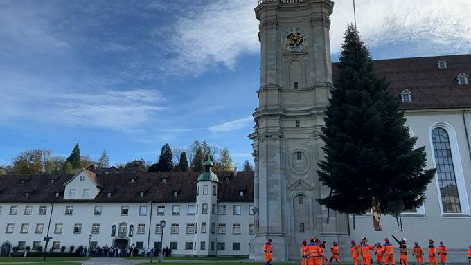 Weihnachten im Anflug: Der Christbaum auf dem Klosterplatz ist da
