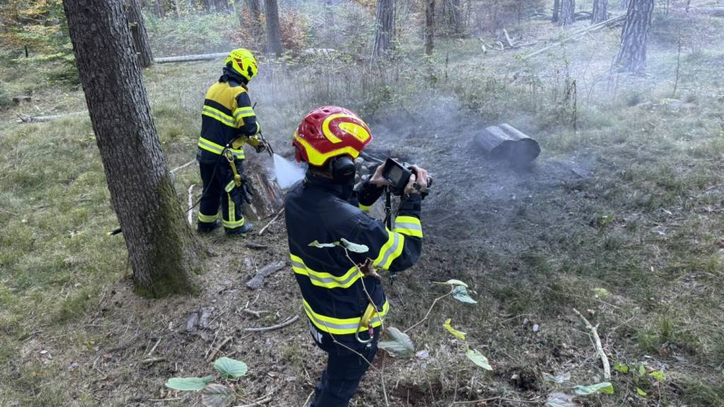 Feuerwehrleute mussten im Churer Fürstenwald ein unterirdisches Feuer löschen.