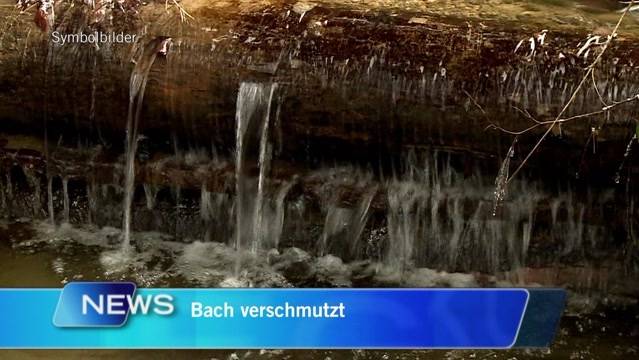 SwissNews