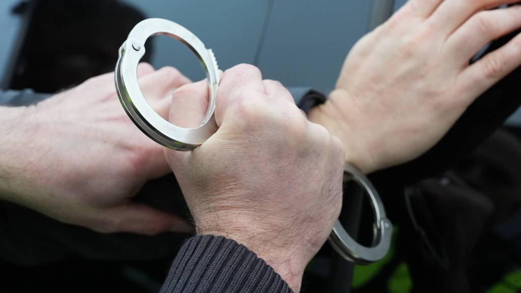 Die Polizei konnte Einbrecher in Weinfelden TG in flagranti verhaften. (Symbolbild)