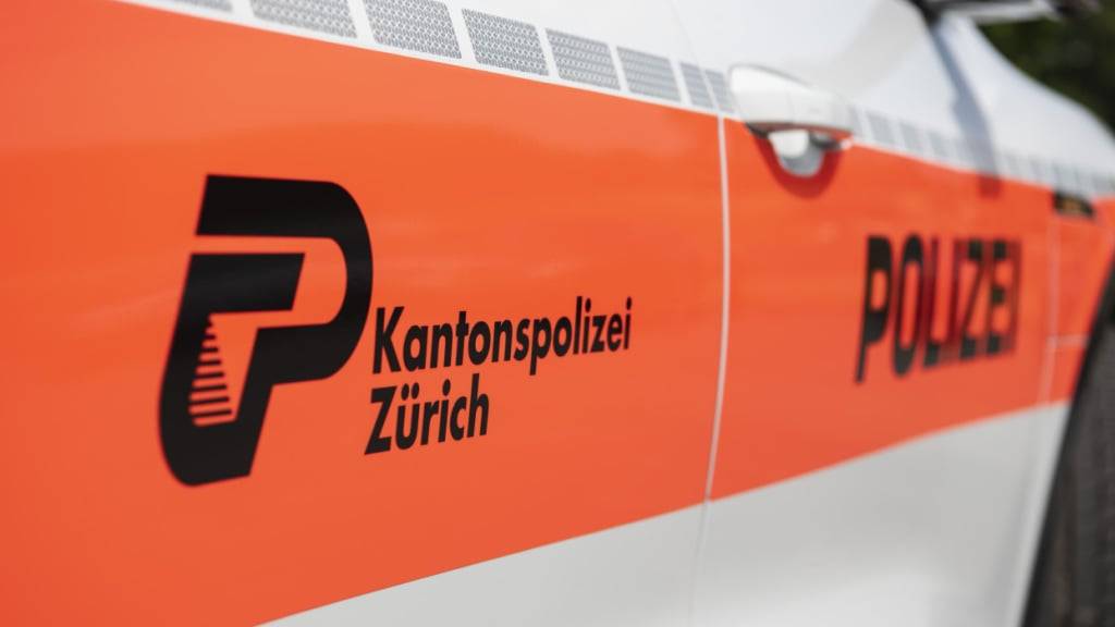 Die Kantonspolizei Zürich verhaftete am Freitag in Flurlingen einen 22-jährigen Syrer. Er soll Passanten mit Steinen beworfen haben. (Symbolbild).