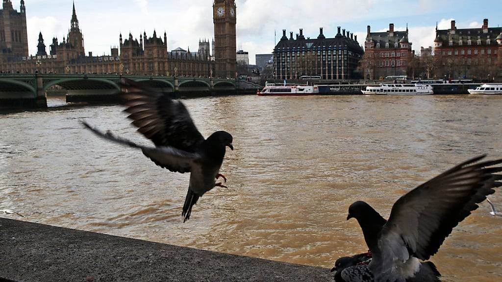 Ungeklärte Abwässer verschmutzen zunehmend Gewässer in England. (Archivbild)