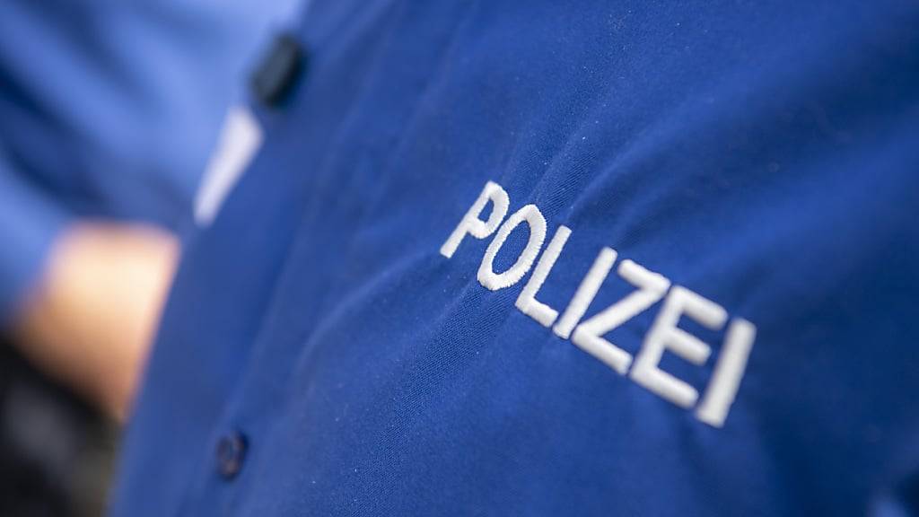 Die Zürcher Kantonspolizei sucht zwei Männer, die am Donnerstag eine 84-jährige Frau in Greifensee ausgeraubt haben. (Symbolbild)