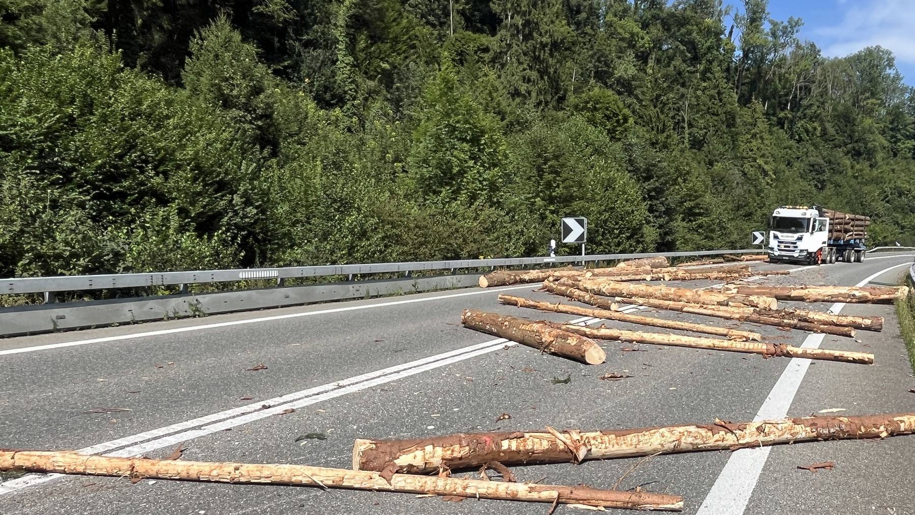 Bäume auf der Strasse