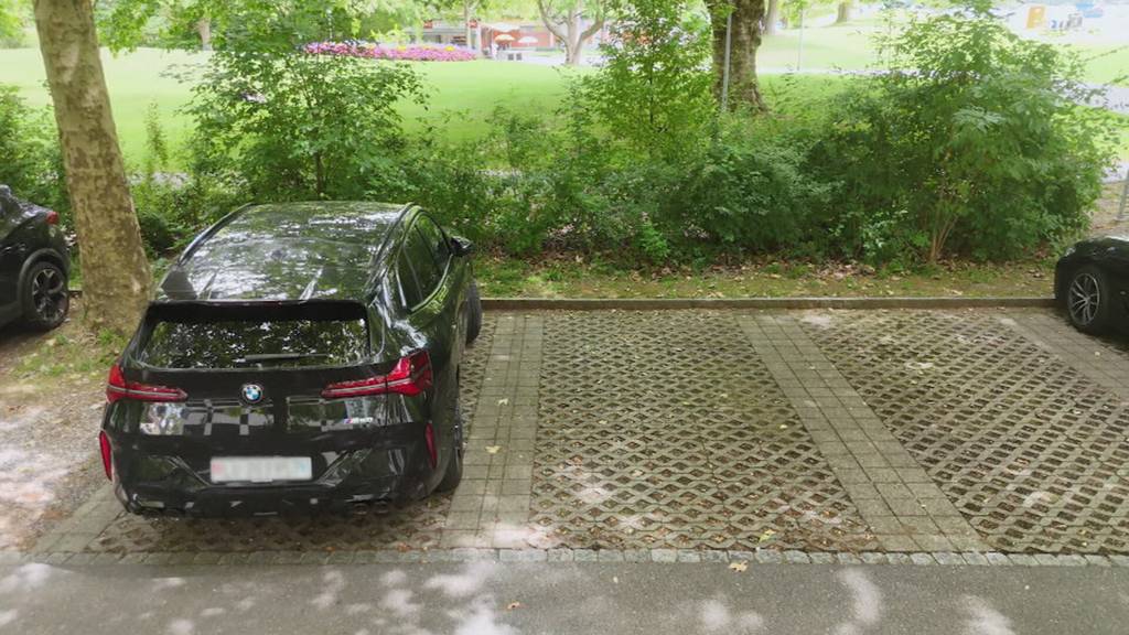 Widerstand gegen Parkplatz-Abbau in Luzern