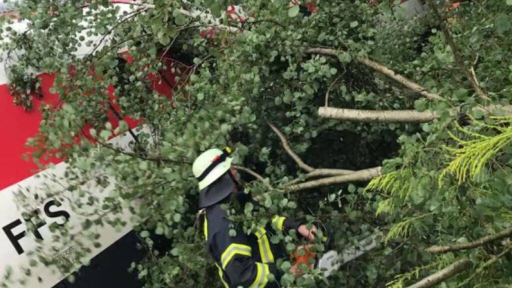 Eurocity der SBB mit 300 Personen in Deutschland von Baum getroffen