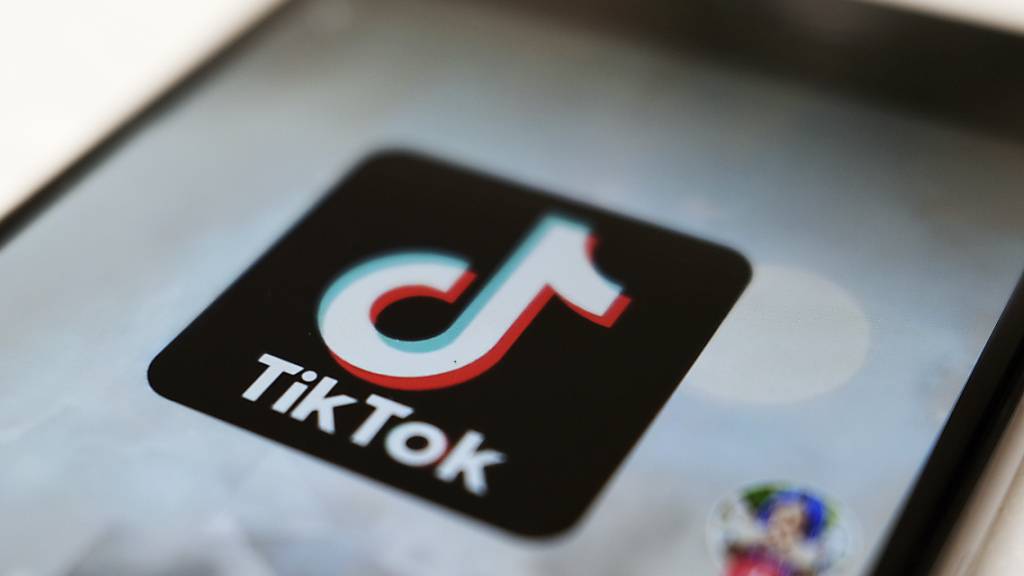 Ex-US-Finanzminister trommelt Investoren für Tiktok-Kauf zusammen