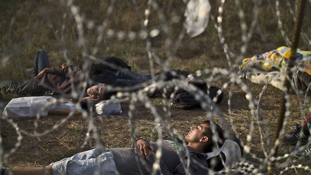 Die Kantone fordern den Bundesrat auf, eine Obergrenze für Asylsuchende zu prüfen. Im Bild Flüchtlinge an der Grenze zwischen Serbien und Ungarn. (Archiv)