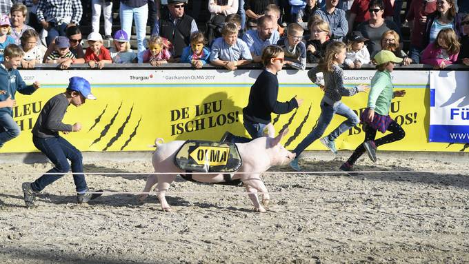 Welches Säuli hat heute Schwein?