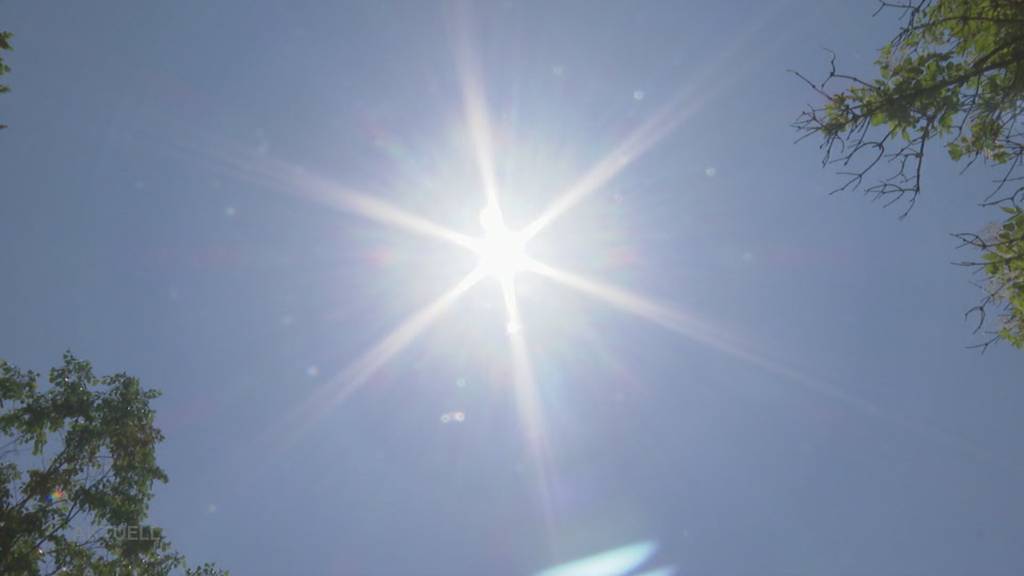 Sommeranfang: Wie man Sonnecreme richtig einschmiert und wann es umweltschädlich wird