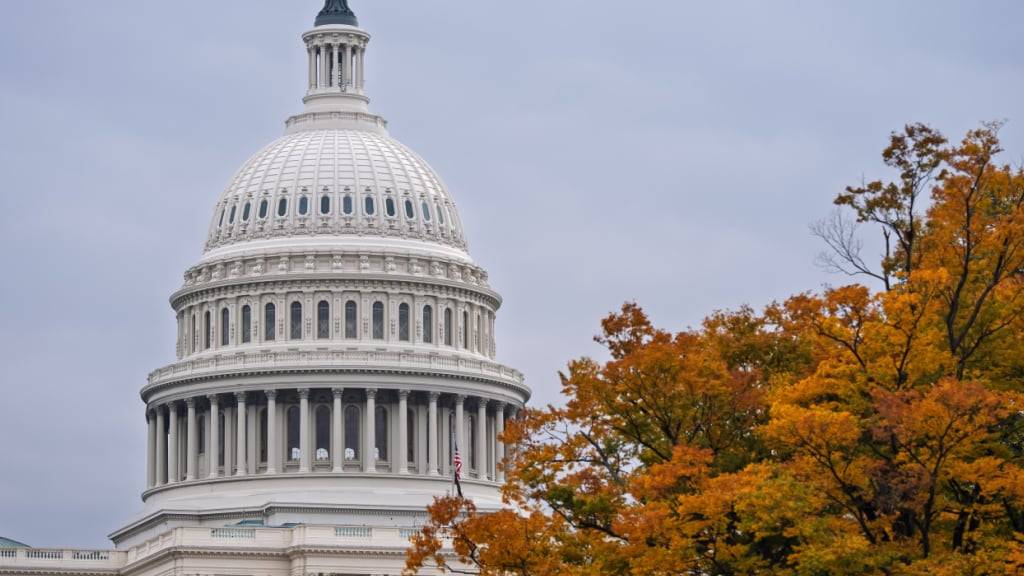 Das Kapitol in Washington. Foto: J. Scott Applewhite/AP/dpa