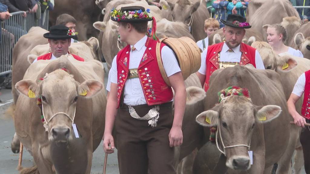 Hoher Besuch: Bundesrat Guy Parmelin an der Viehschau in Appenzell