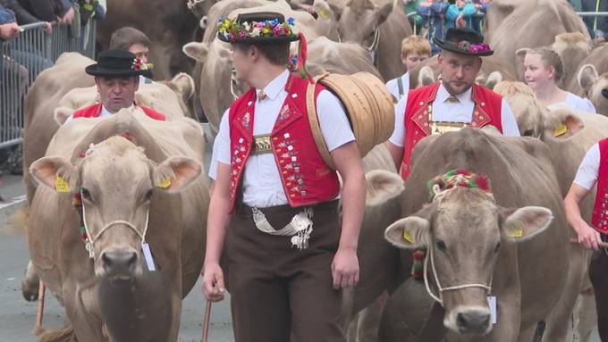 Hoher Besuch: Bundesrat Guy Parmelin an der Viehschau in Appenzell