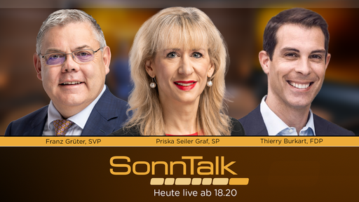 Bundesrat in den USA, Papst Franziskus, Fall Klaus Schwab