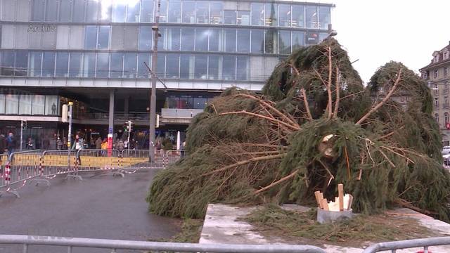 Ein Jahr nach Sturm Burglind