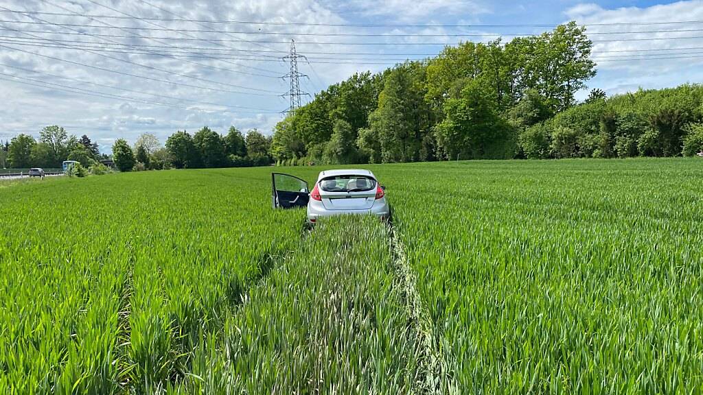 Die Fahrt ins Grüne endete ohne verletzte Personen.