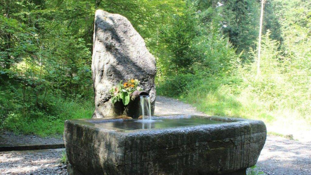 Der Glasbrunnen im Bremgartenwald. (Archivbild)