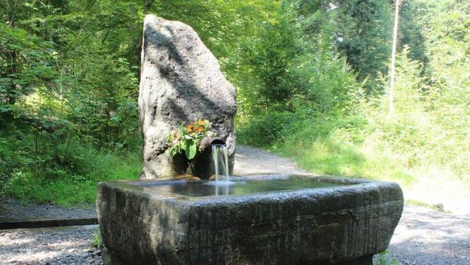 Glasbrunnen im Bremgartenwald läuft wieder