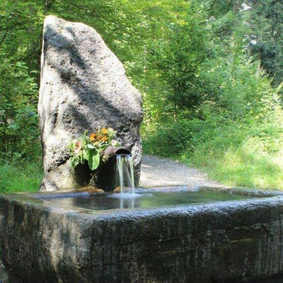 Glasbrunnen im Bremgartenwald läuft wieder