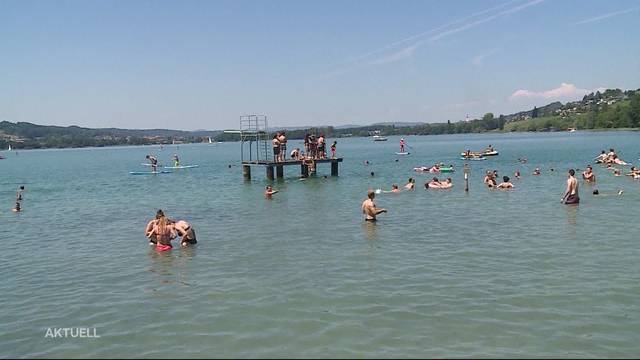 Hitzewelle in der Schweiz: Dichtestress am Hallwilersee