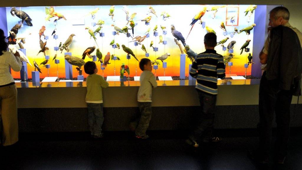 Eltern und Kinder entdecken das Naturhistorische Museum in Genf. (Archivbild)