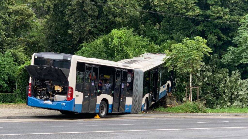 Der beim Paulusplatz in Luzern verunfallte Linienbus geriet in eine Grünanlage.