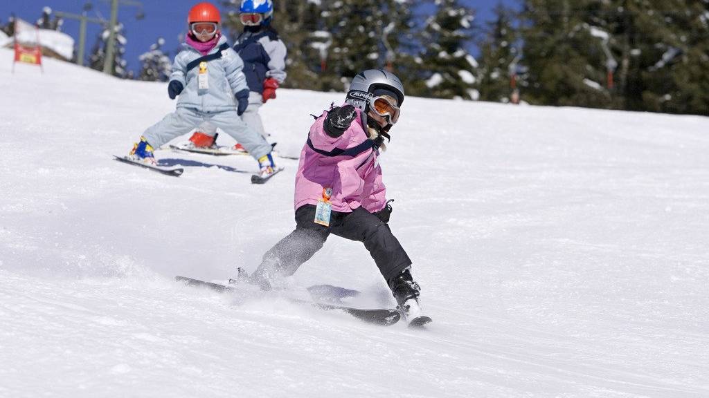 Der Druck auf Kinder steigt - deshalb veranstaltet die Davoser Skischule «Top Secret» keine Rennen mehr. (Symbolbild)