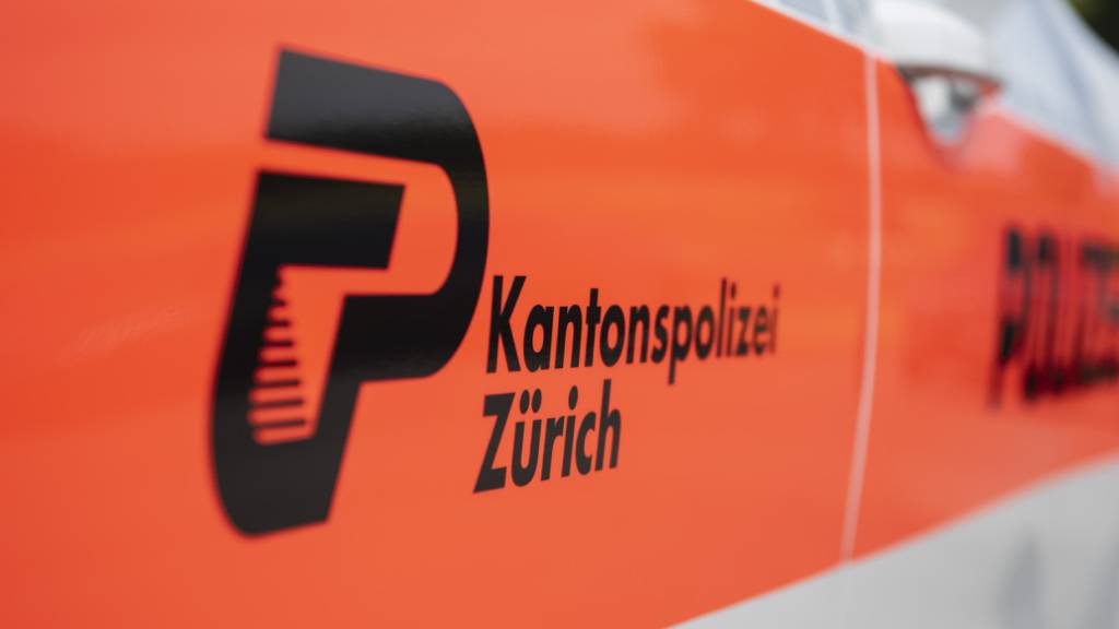 Die Kantonspolizei Zürich ist auf der Suche nach einer Person, die einen 64-Jährigen vor einen Zug schubsen wollte. (Symbolbid)