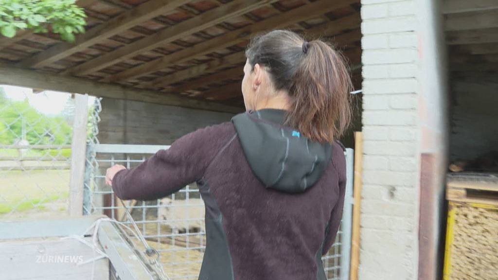 Mysteriöse Tierdiebstähle im Zürcher Weinland