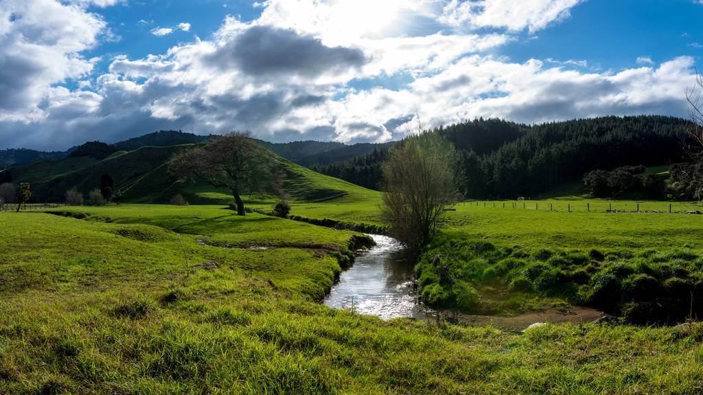Zürcher Bauern nutzen Wasser aus Bach – Thurgauer dürfen nicht
