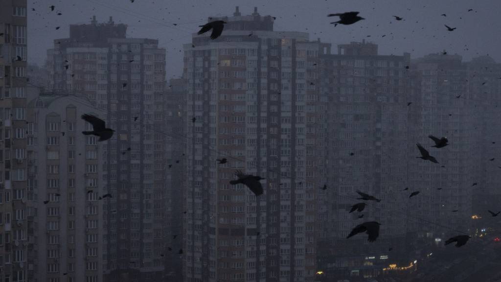 ARCHIV - Krähen fliegen während eines Stromausfalls in Kiew über mehrstöckige Wohngebäude. Foto: Efrem Lukatsky/AP/dpa