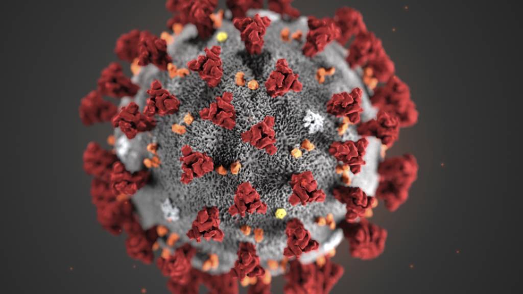 Der Zahl der Neuansteckungen mit dem Coronavirus bleibt in der Schweiz tief.