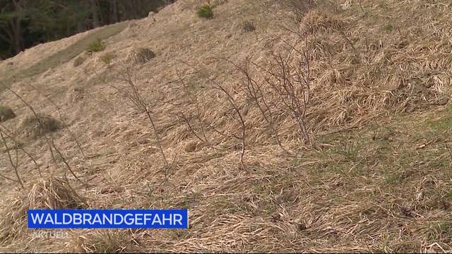 Swissnews