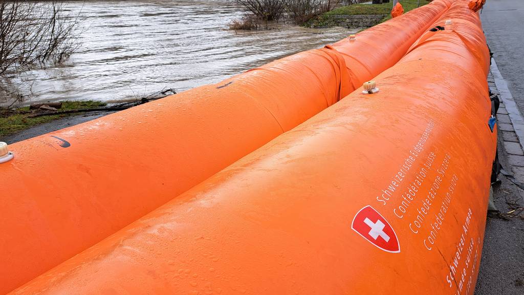 Hochwasserlage: «Beaver-Dämme an der Aare in Brugg bleiben» 