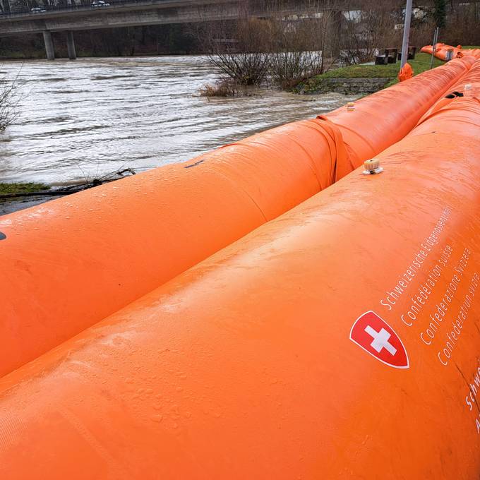 Hochwasserlage: «Beaver-Dämme an der Aare in Brugg bleiben» 