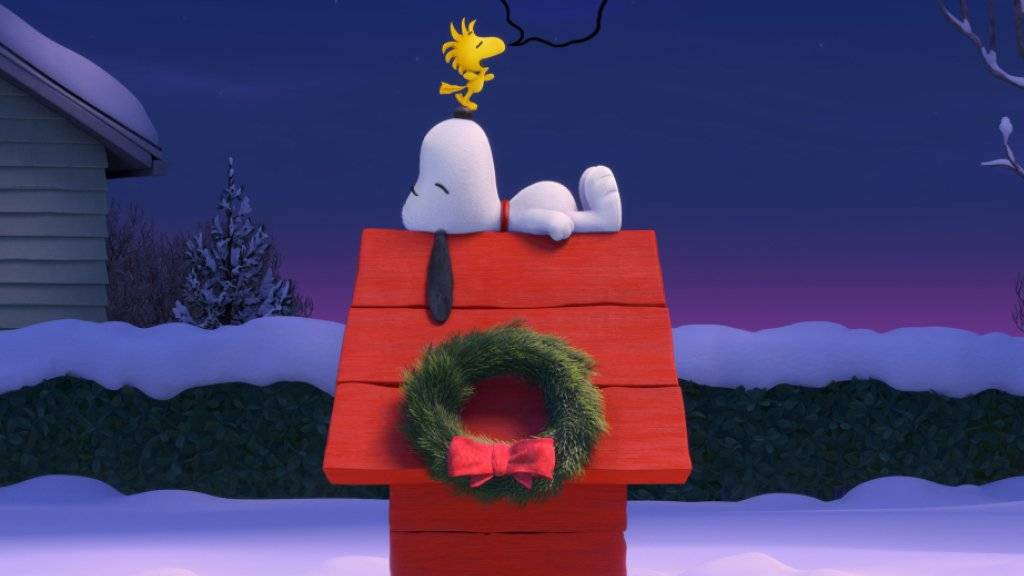 Snoopy wohnt ineiner roten Hundehütte.
