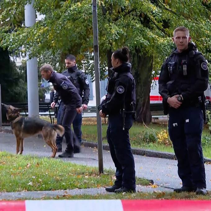 Mutmasslicher Bombendroher von Zürcher Obergericht drohte Behörden schon mehrfach