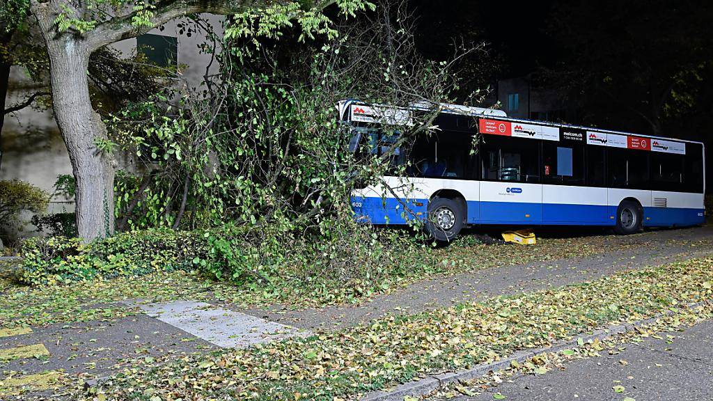 Aus unbekannten Gründen ist in Zürich ein VBZ-Bus am späten Montagabend in einen Baum geprallt: Vier Personen wurden leicht verletzt.