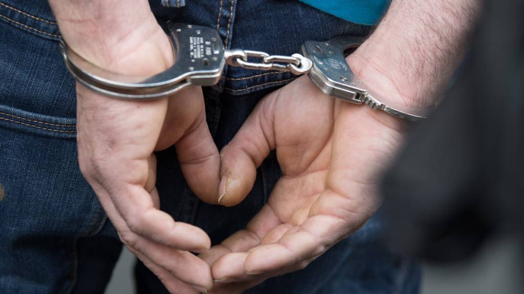 Die mutmasslichen «Pädo-Hunter» von Embrach sind von der Kantonspolizei Zürich dingfest gemacht worden. Es handelt sich um sechs junge Männer aus verschiedenen Ländern - auch der Schweiz. (Archivbild)